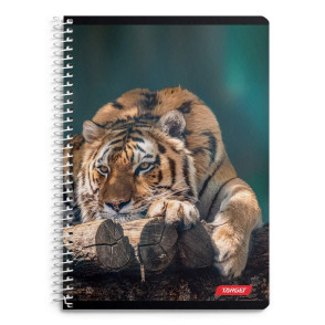 Črtni zvezek A4 s spiralo ANIMAL
