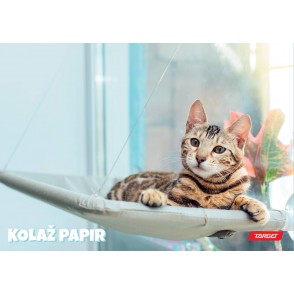 Kolaž papir A4  ANIMAL BABY