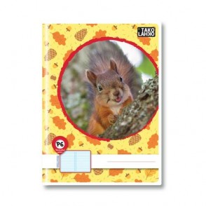 Zvezek TAKO LAHKO A4 črte 11mm P6