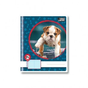 Zvezek TAKO LAHKO B5 latajn II P4