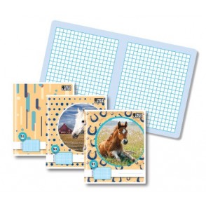 ZVEZEK A4 MP TAKO LAHKO 1X1CM KARO R1 - RAČUNANJE