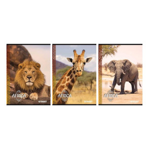 Zvezek STREET AFRICA A4 mali karo 80 listni